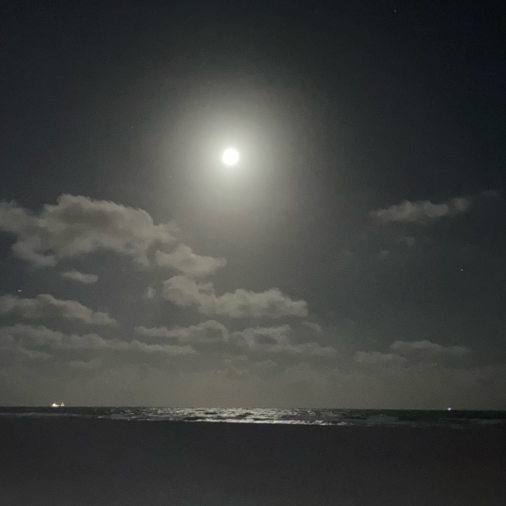 Meet your Posher, Aleen